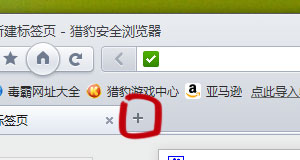 ../_images/newtab_favicon.jpg