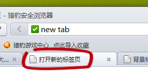 ../_images/tab_text.jpg