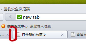 ../_images/theme_active_tab_left.jpg