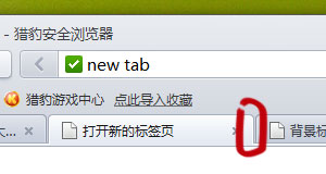 ../_images/theme_active_tab_right.jpg