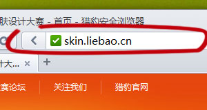 ../_images/theme_location_bar_border_focus.jpg